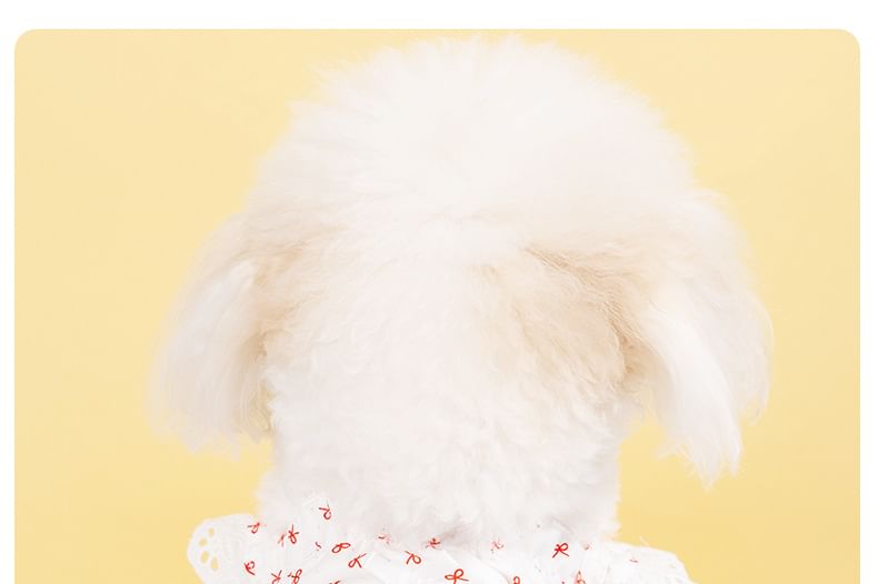 Cissilli - Strik Pet Jurk