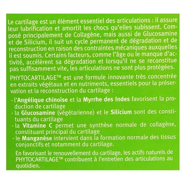 Phyto Research Fitocartilagem 60 cápsulas