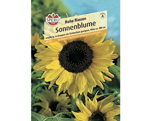 Zonnebloem Grote Reuzen Sperli Bloemzaden ca. 25 zaden