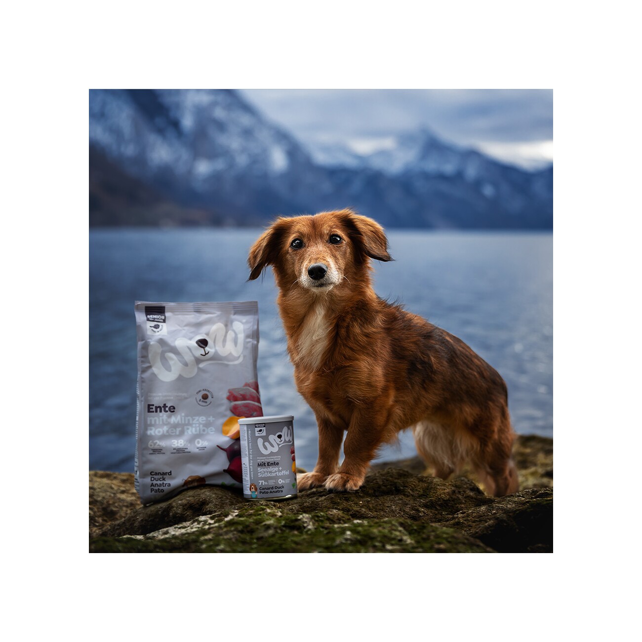 WOW Mini Senior Ente mit Minze 1kg