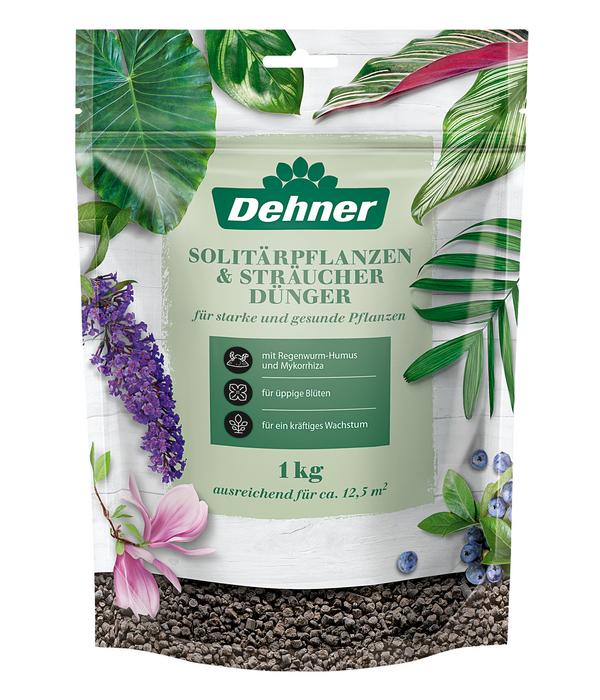 Dehner Solitärpflanzen- und