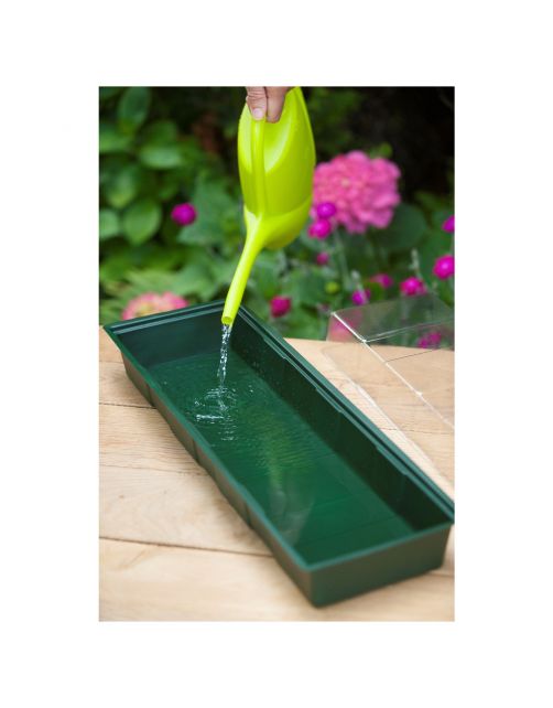 Nature Vensterbankkweekset - Vensterbanktuin - 15.5x49x10 cm Groen Transparant