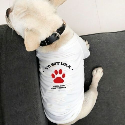 Camiseta branca personalizável para cachorro universitário