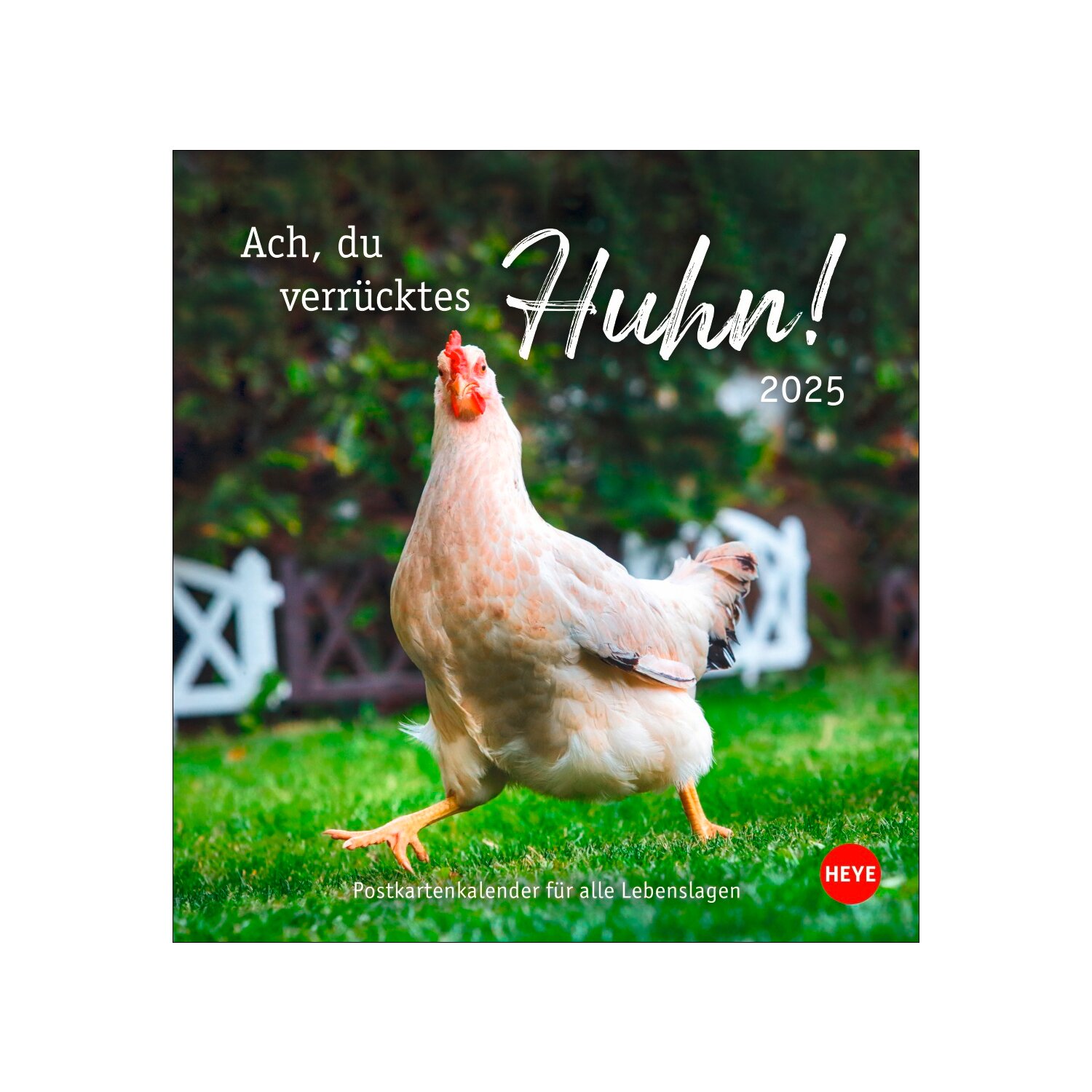 Postkartenkalender Hühner 2025 - Ach, du verrücktes Huhn  - 2025