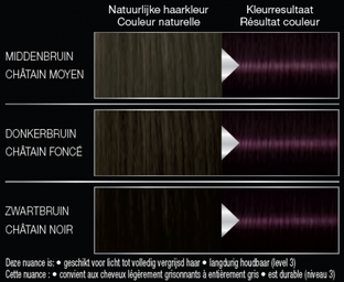 Syoss Color Salonplex 3-3 Trendy Violet 1ST