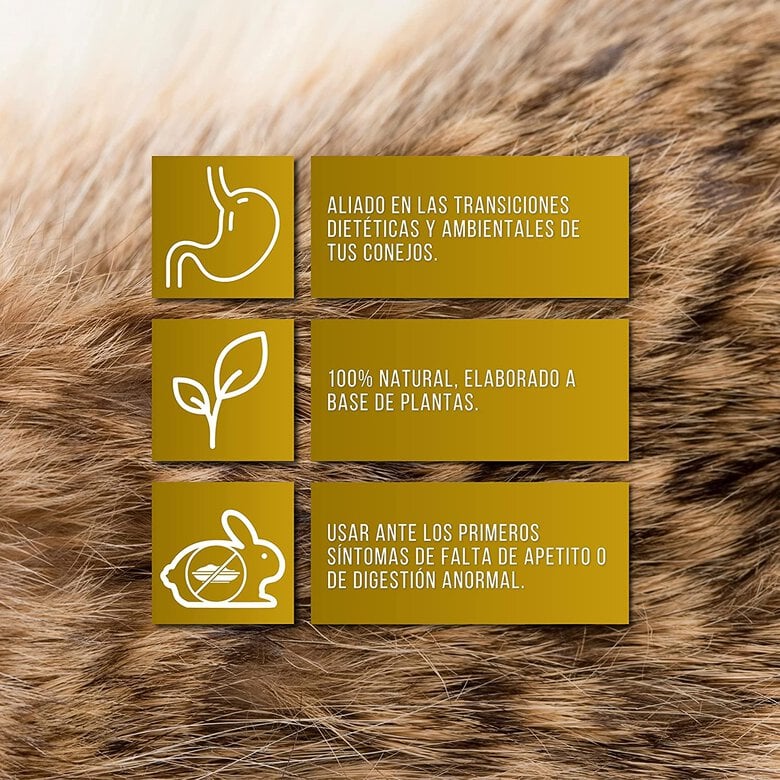 Finca Casarejo Cunidigest analgésico para barriga inchada para coelhos