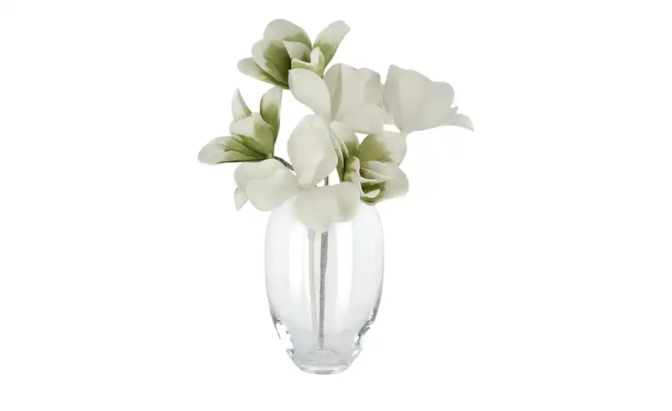Peill+Putzler Vase For your home
