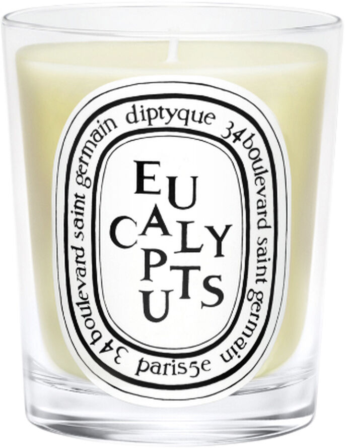 Diptyque Standard candle Eucalyptus