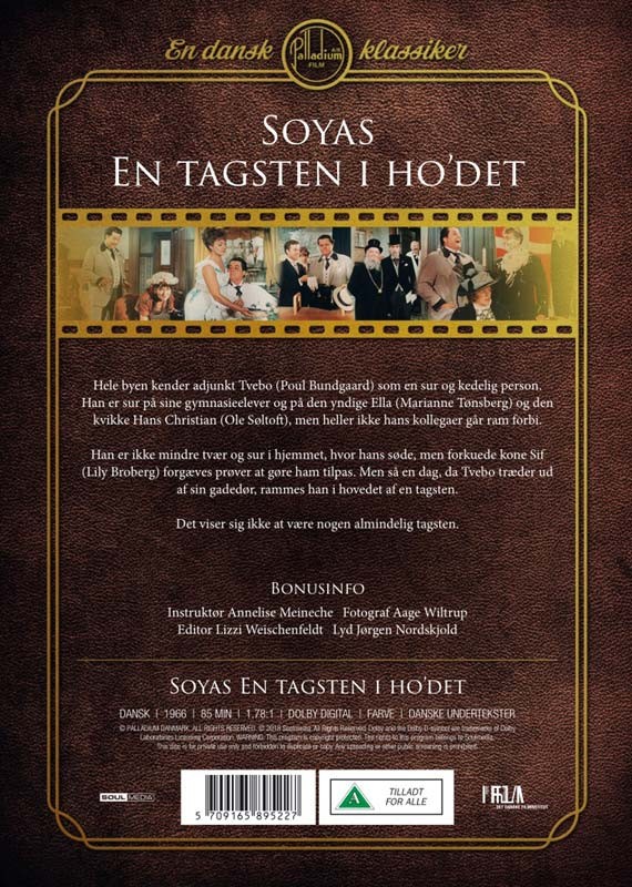 En tagsten i ho'det - DVD
