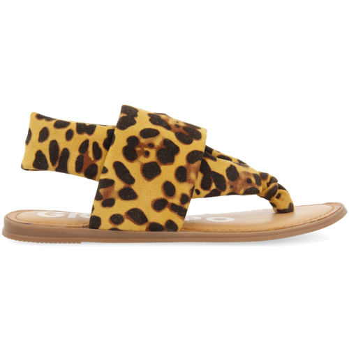 Gioseppo - ASHFOR Multicolor