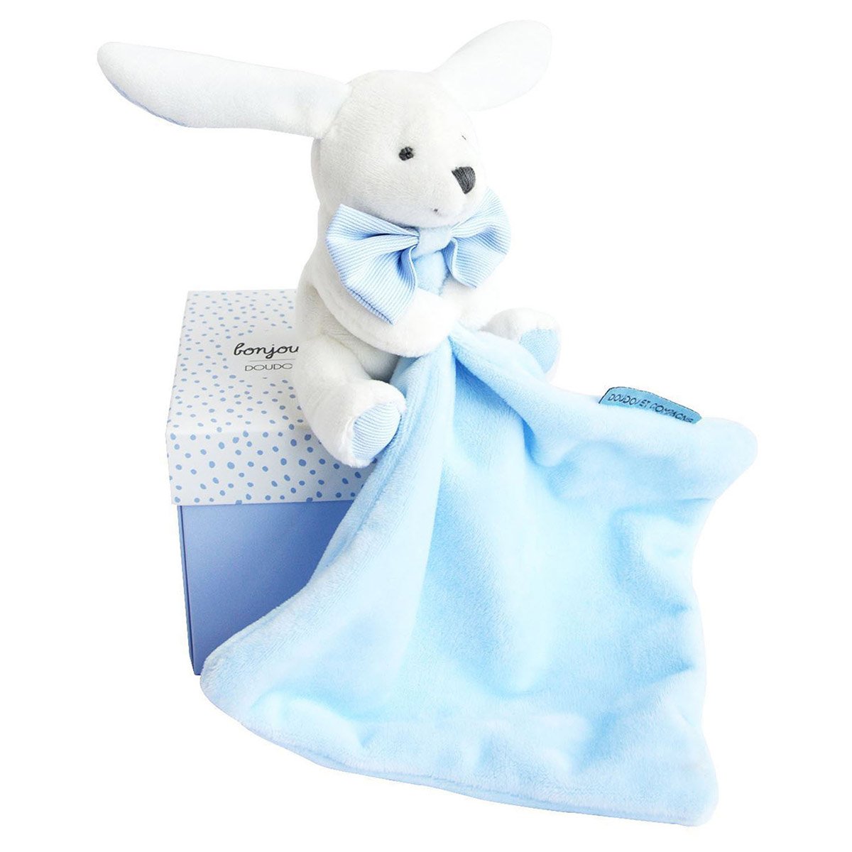 Lapin boite fleur ciel