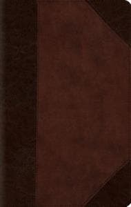 ESV Large Print Compact Bible, Red Letter
