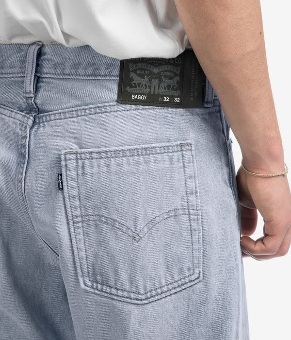 Levi's Skate Baggy Jeans (jailbreak)