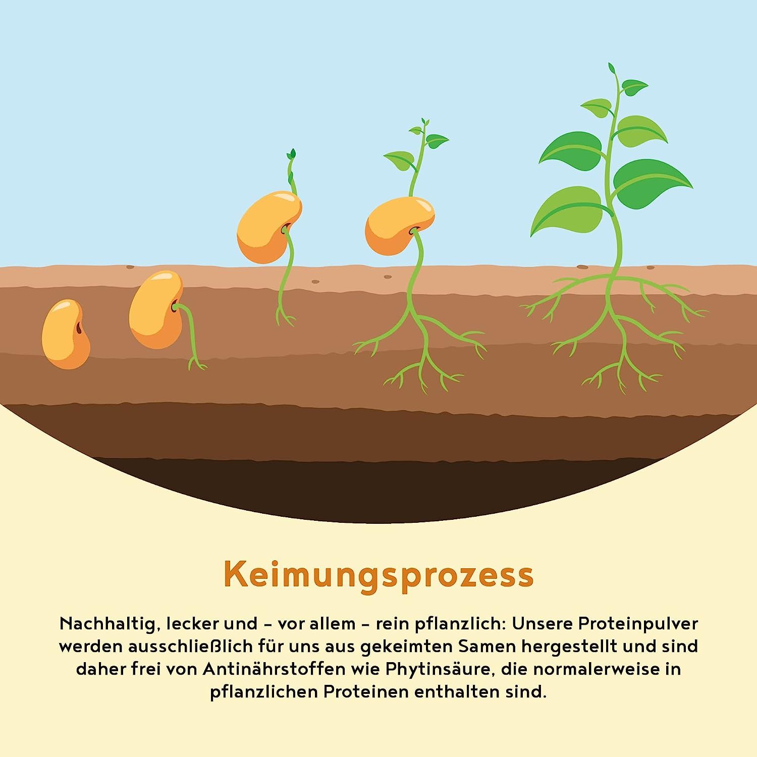 Vegan Protein - BANANE - Pflanzliches Proteinpulver