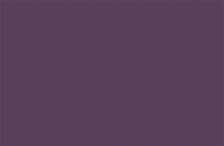 Peinture Tollens premium murs, boiseries et radiateurs violet élégant mat 2,5L