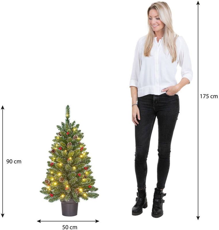 Black Box Trees - Creston - Kunstkerstboom - Groen Frosted - H90 x Ø50 cm - Met LED Verlichting