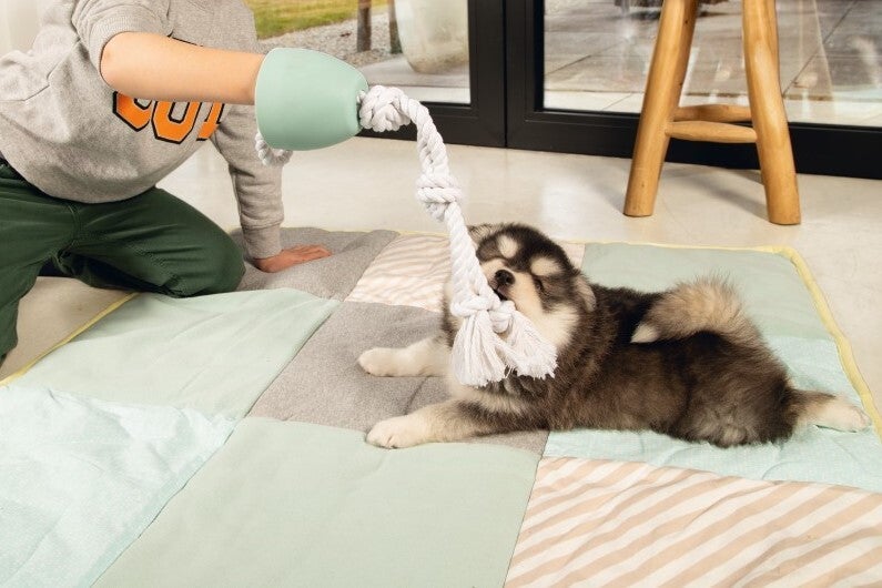 Beeztees hondenspeelgoed touw Pullina puppy groen 50 x 10 x 10 cm