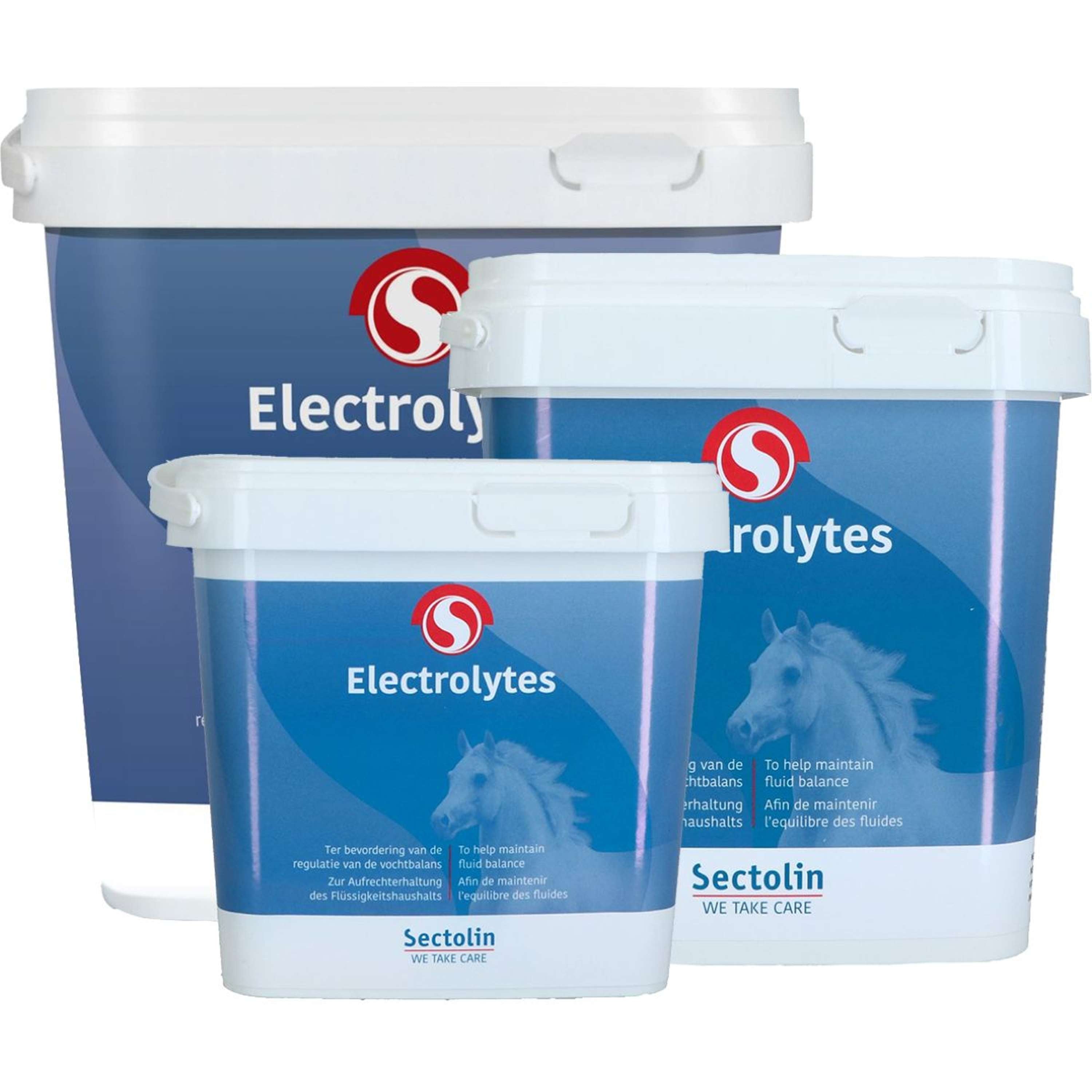 Sectolin Electrolyten