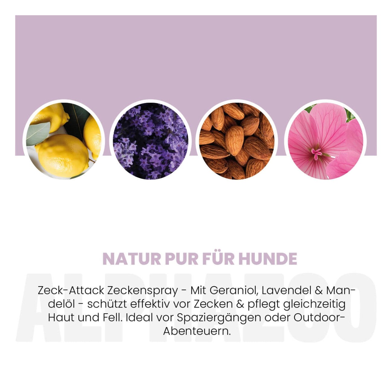 ALPHAZOO ZeckAttack Zeckenspray für Hunde I Starker Zeckenschutz 100 ml