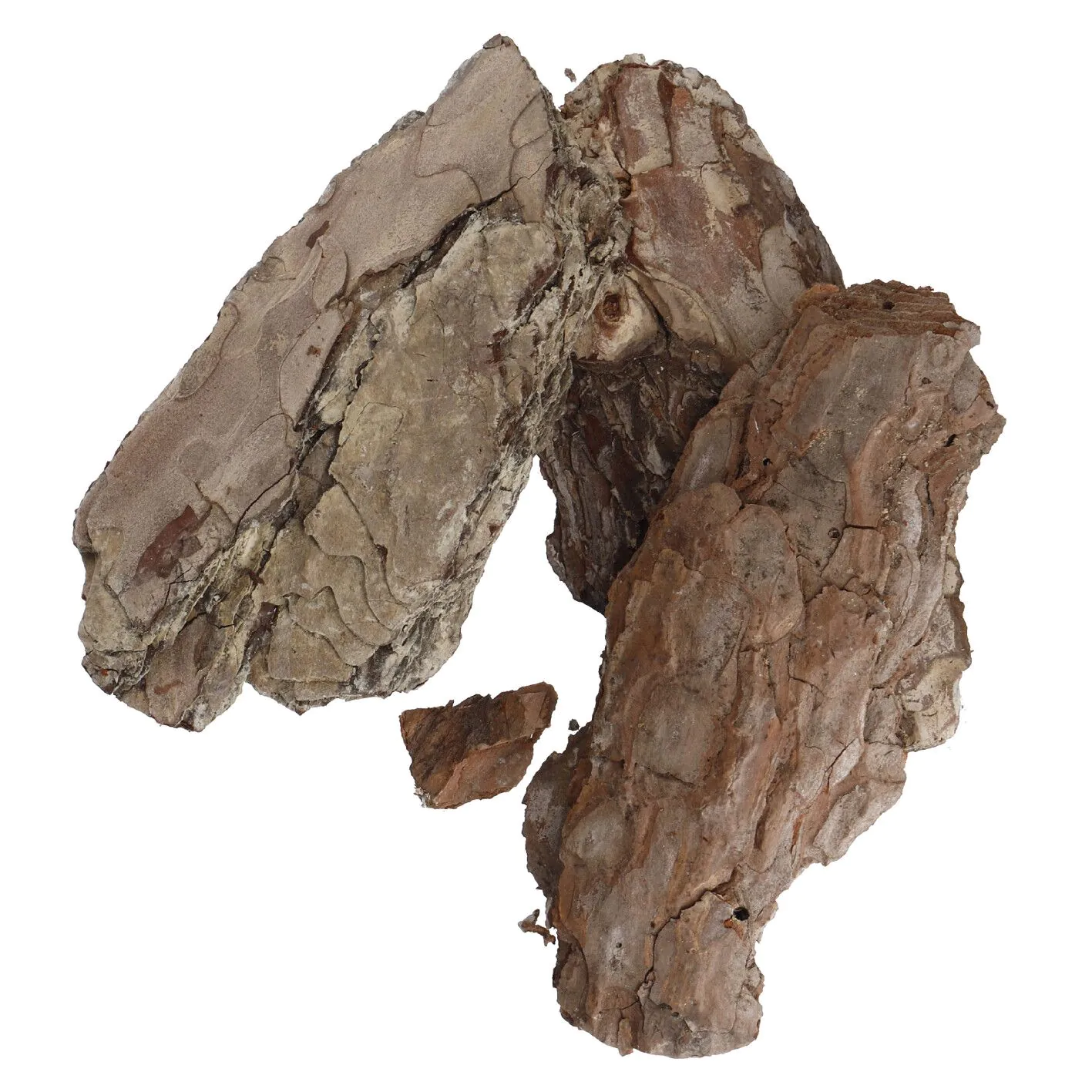 baumrinde Deko, 15-20 cm, 150 g