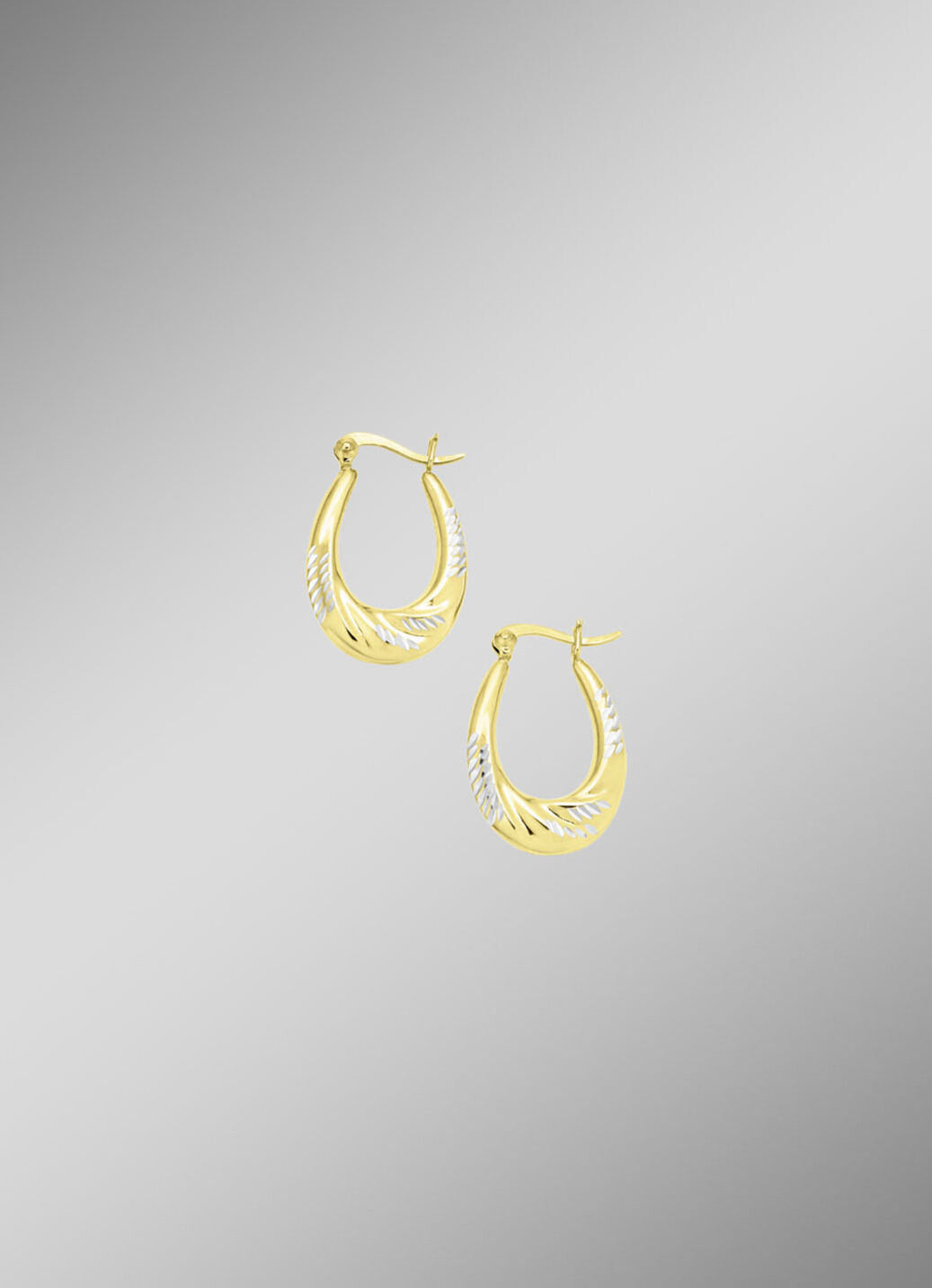 Eleganz und Glanz: Creolen in Bicolor