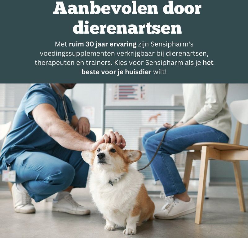 Sensipharm - Inconti Stop - Voedingssupplement - 90 Tabletten à 250 mg - 100% Natuurlijk