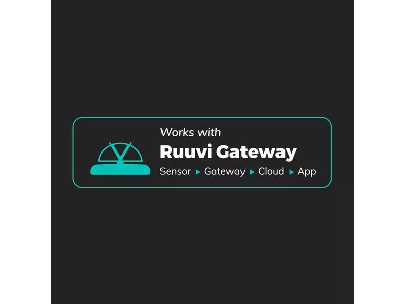 ruuvi Umwelt Sensor 2 in 1 RuuviTag Pro Bluetooth Temperatur- und Bewegungs-Industriesensor