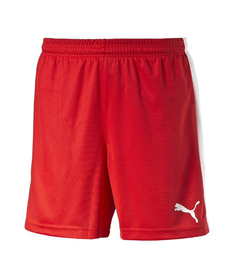 PUMA Pitch Short mit Innenslip Rot F01