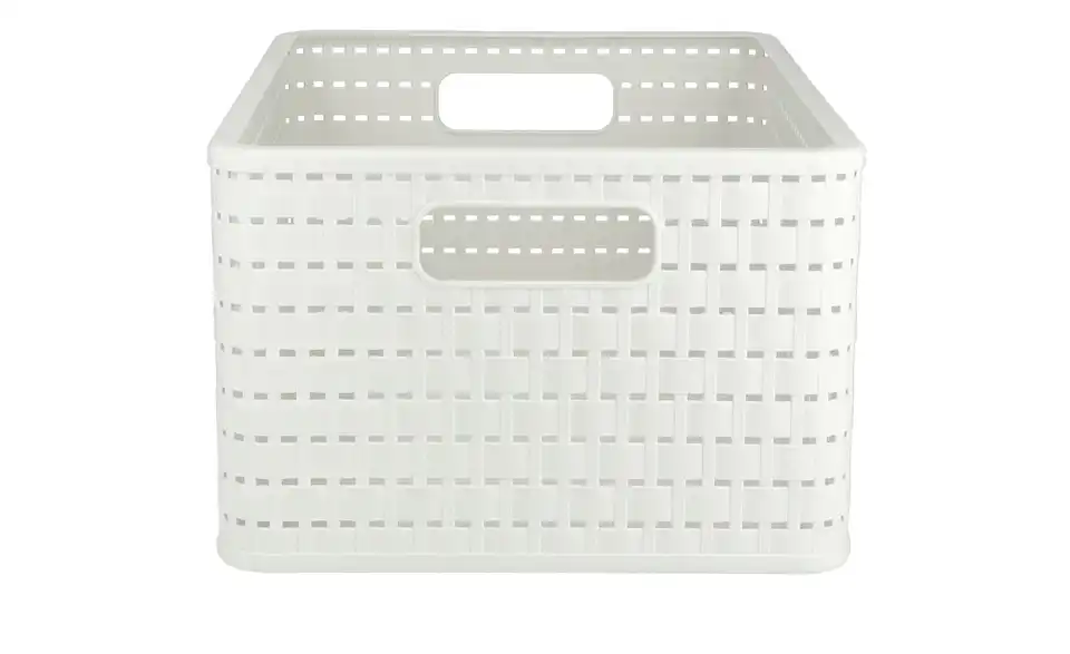 Rotho Aufbewahrungsbox 27,8 cm