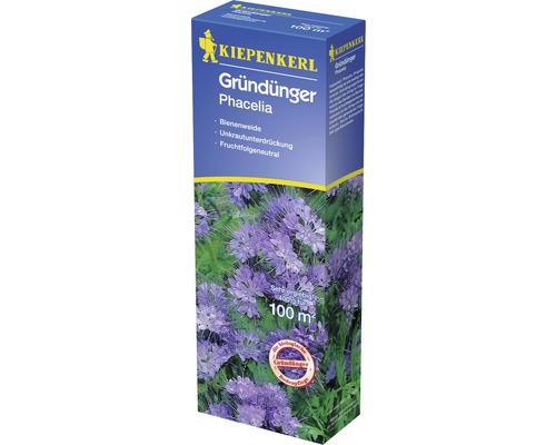 Groenbemester Phacelia Kiepenkerl 400 g