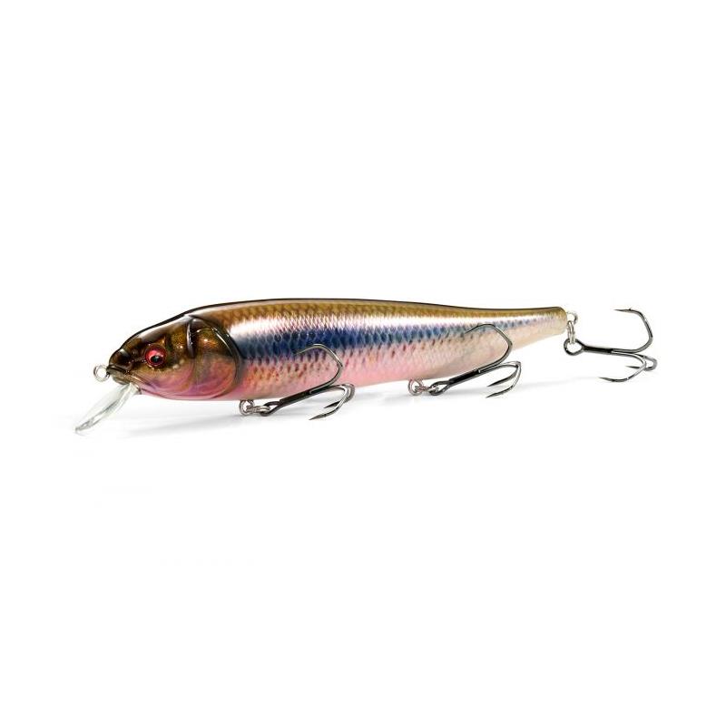 Leurre Flottant Megabass Lates Feedingwoofer - 12Cm