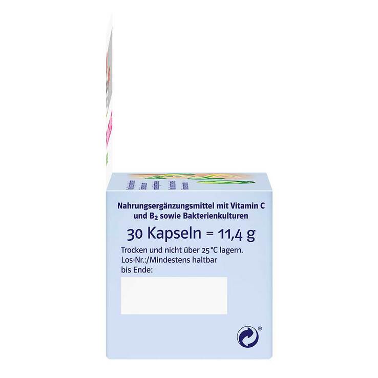 Doppelherz system Pro Lacto Balance Kapseln, 30 St