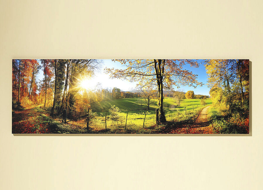 Bild mit dem Titel «Zauberhafte Landschaft im Herbst»