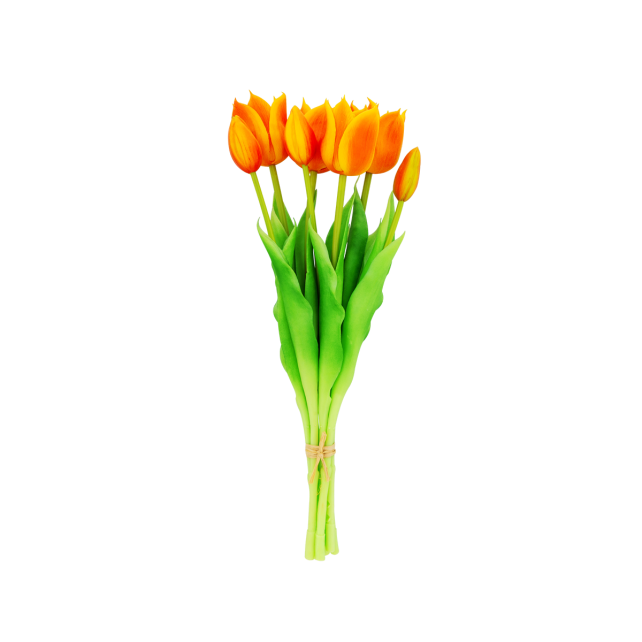 Set de 7 tulipes ouvertes - Tulipes