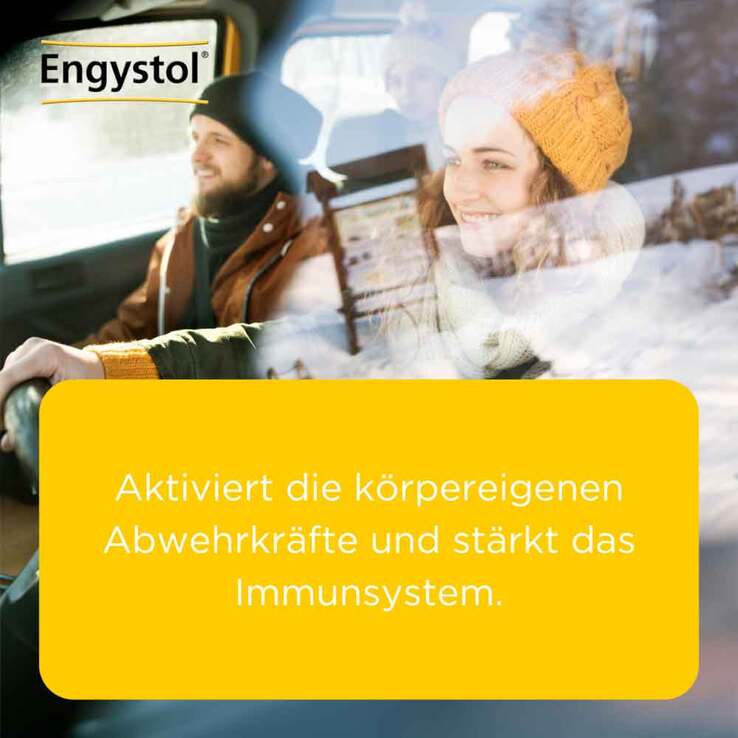 Engystol® Tabletten, 250 St