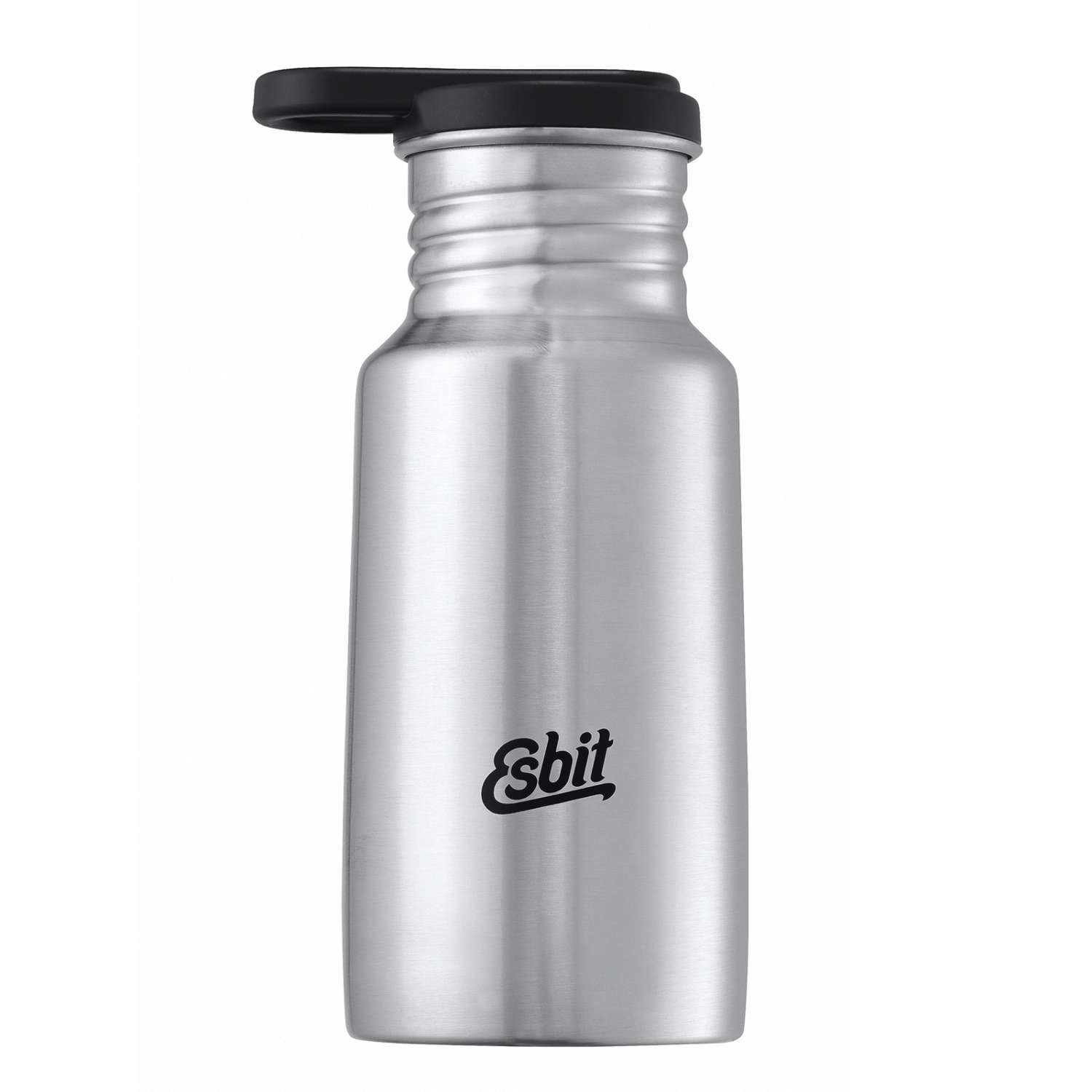 Esbit Pictor  Trinkflasche 350ml Edelstahl matt