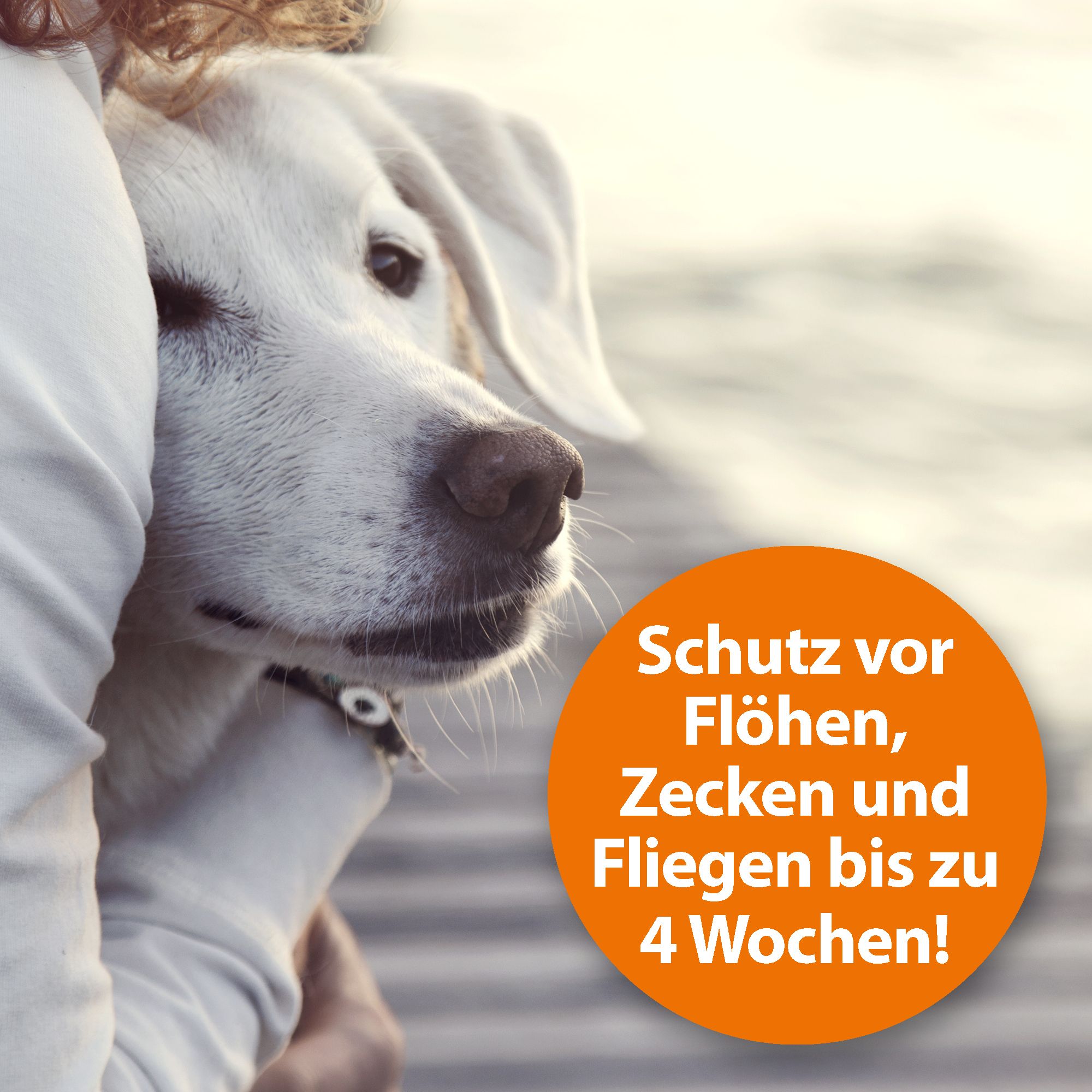 ARDAP® Flohspray zur Anwendung am Tier