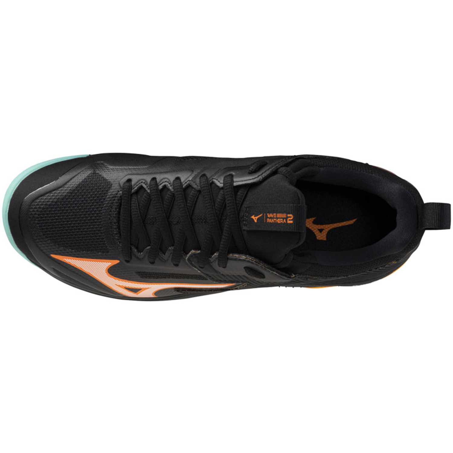 Mizuno Wave Panthera