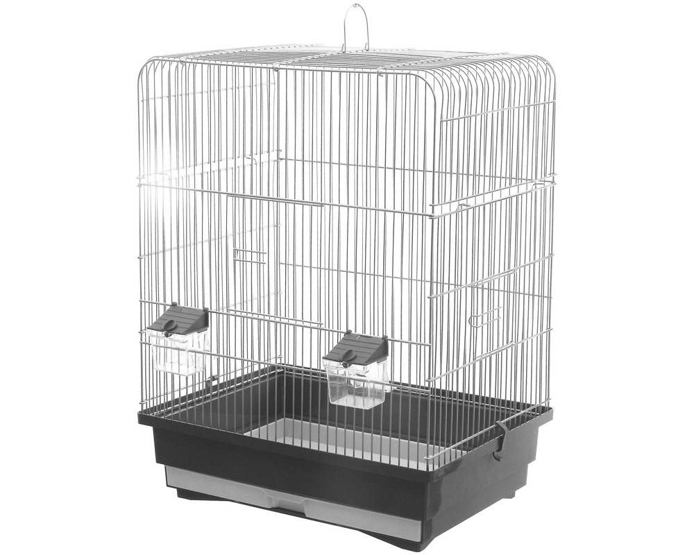 Cage oiseaux thibo petits oiseaux à bec droit, canaris, diamants mandarins