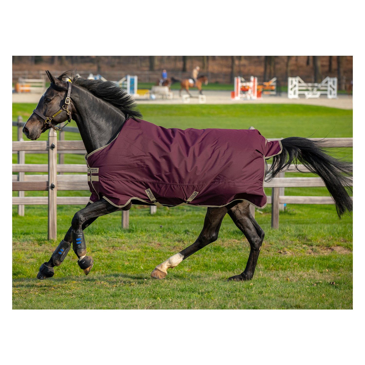 Horseware Outdoordecke AMIGO Hero Ripstop 100 g - feige/navy & tan