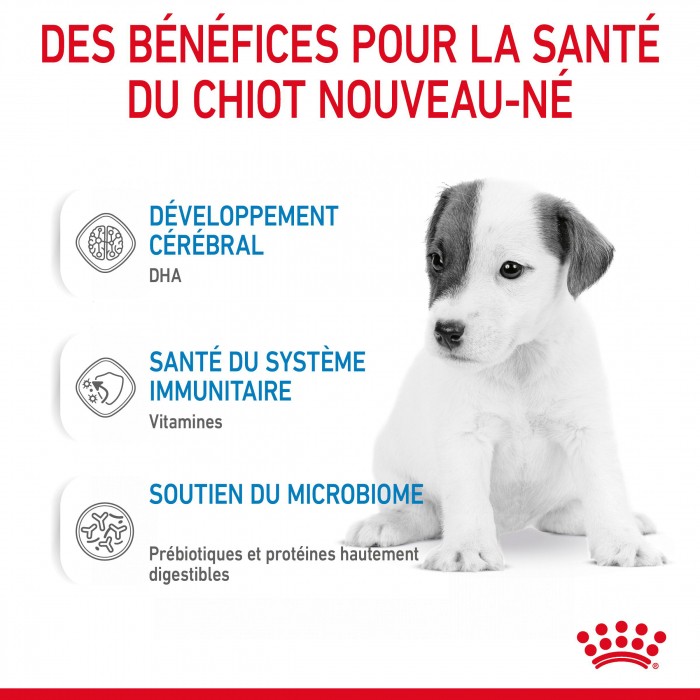 ROYAL CANIN Babydog Milk - Lait maternisé pour chiot