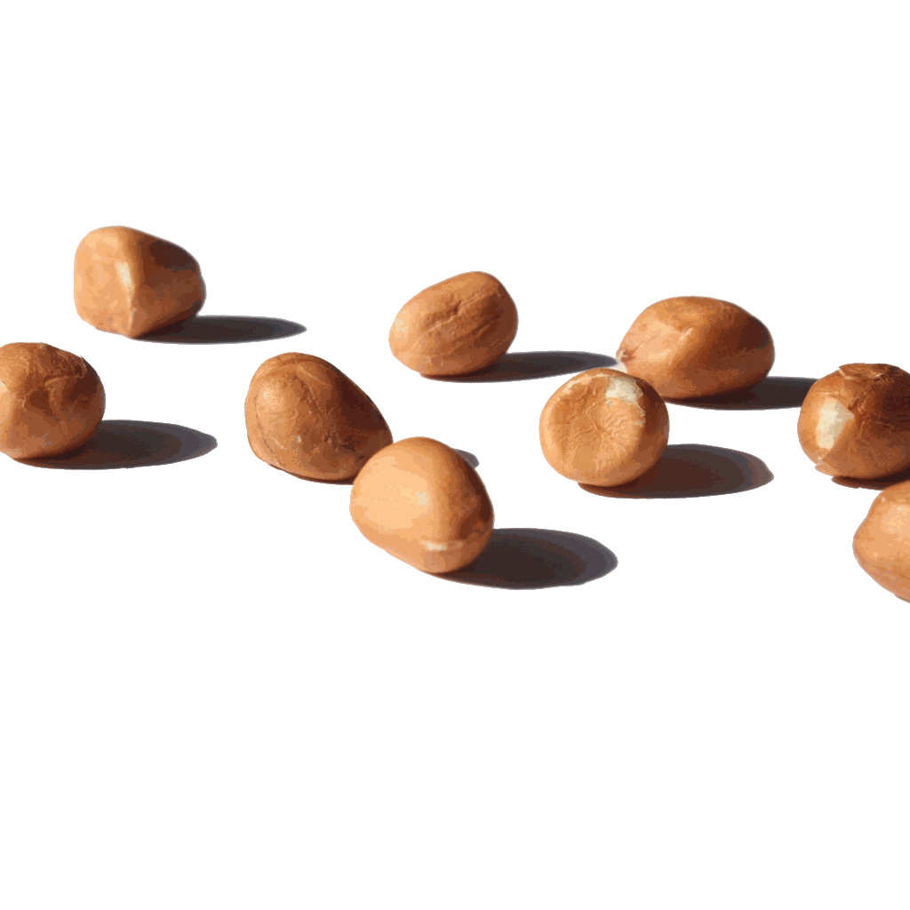 Cacahuètes crues décortiquées bio