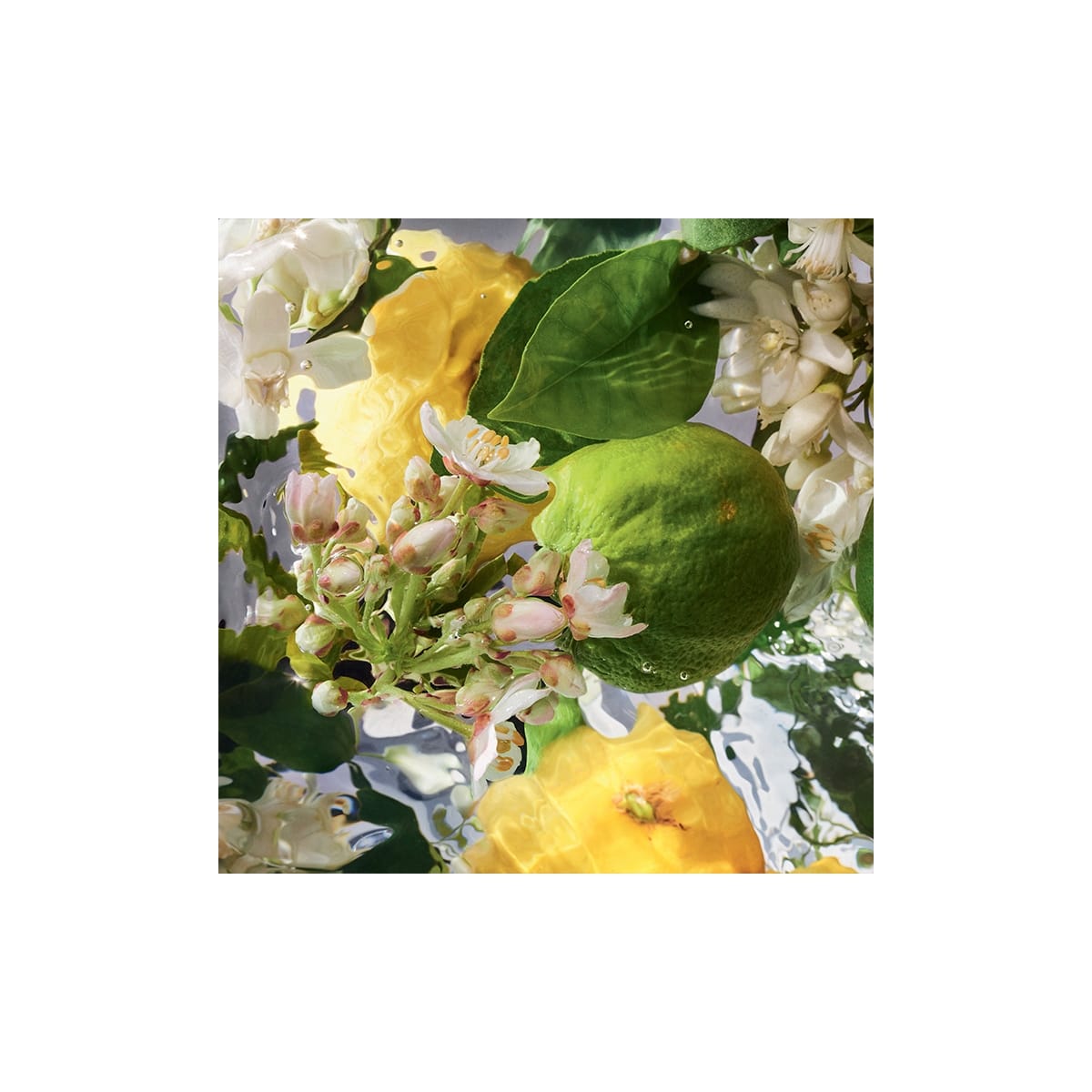 GUERLAIN Aqua Allegoria Bergamote Calabria Eau de Toilette