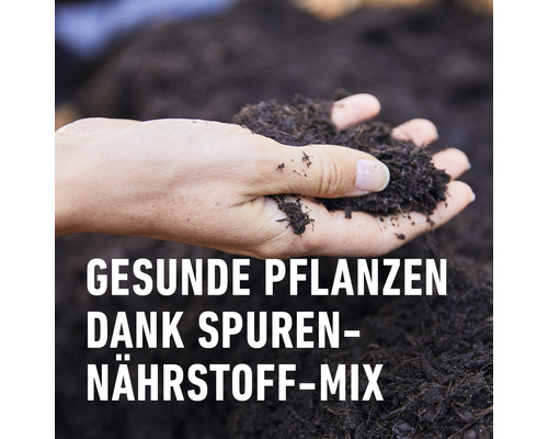 COMPO 50 L potgrond voor balkon- en containerplanten