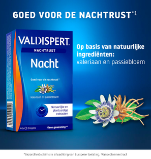 Valdispert Nacht Tabletten 40ST