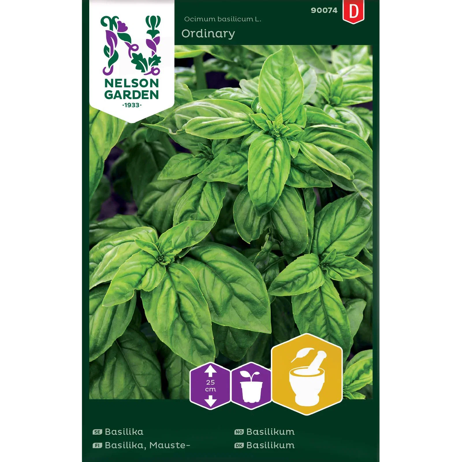 Ocimum basilicum Basilikum