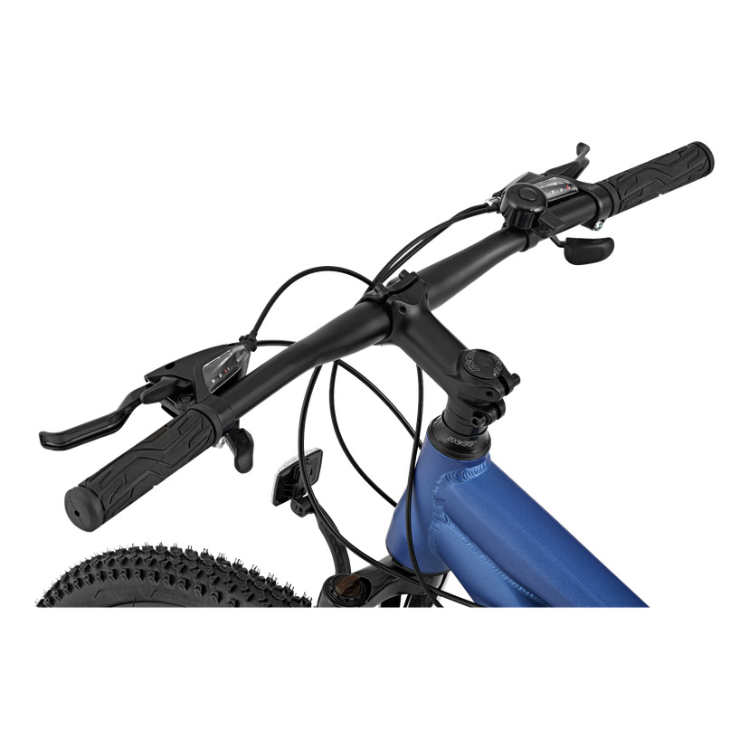 Mountainbike 29