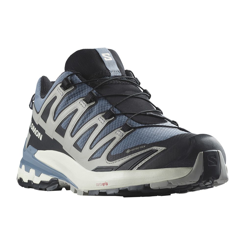 Salomon XA PRO 3D V9 GTX - Chaussures trail Homme flint stone/black/ghost gray