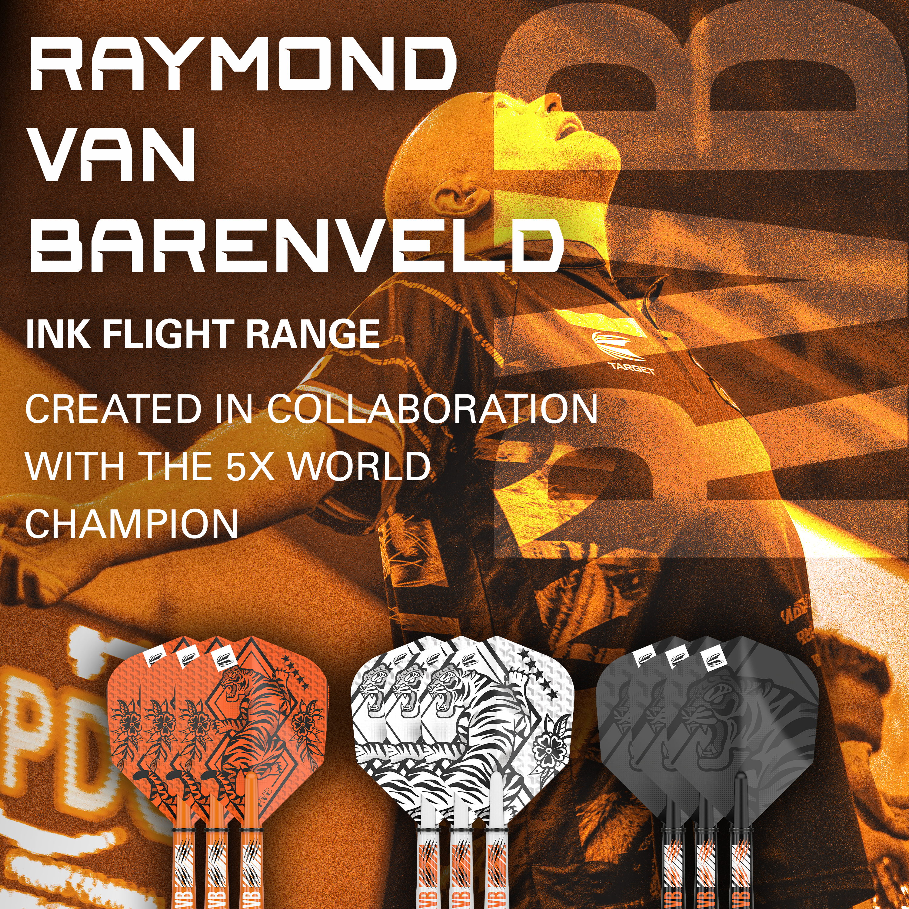 Target - Raymond van Barneveld Ink Flight & Shaft Kit
