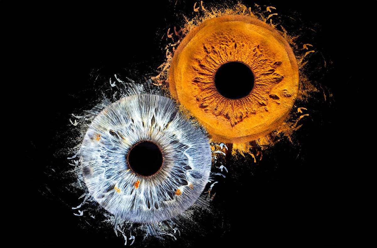 Iris Fotoshooting Langweid